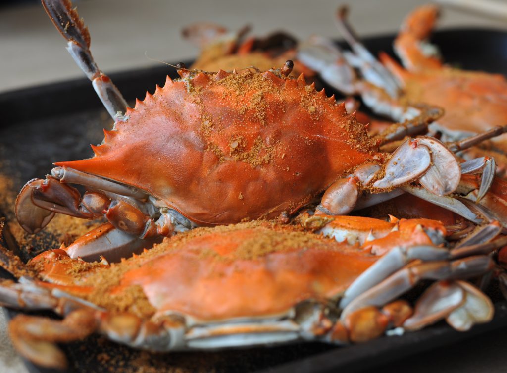 Maryland_blue_crabs